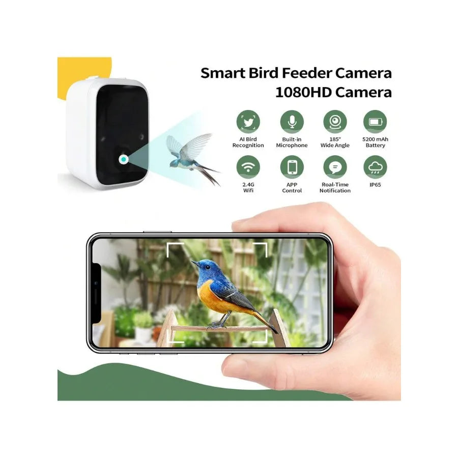 EcoVision | Smart Bird Feeder with HD Camera & WiFi Connectivity | Solar-Powered for Ultimate Bird Watching Experience