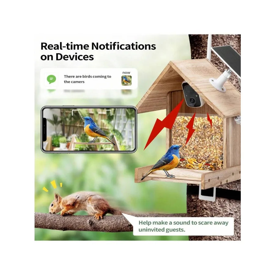 EcoVision | Smart Bird Feeder with HD Camera & WiFi Connectivity | Solar-Powered for Ultimate Bird Watching Experience