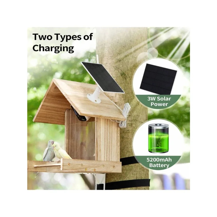 EcoVision | Smart Bird Feeder with HD Camera & WiFi Connectivity | Solar-Powered for Ultimate Bird Watching Experience