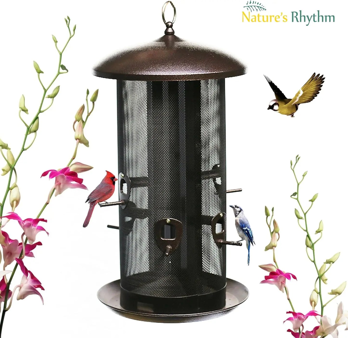 Garden Haven | Heavy-Duty Metal Hopper Bird Feeder with Dual Seed Compartments | 10 Feeding Ports for Year-Round Birdwatching