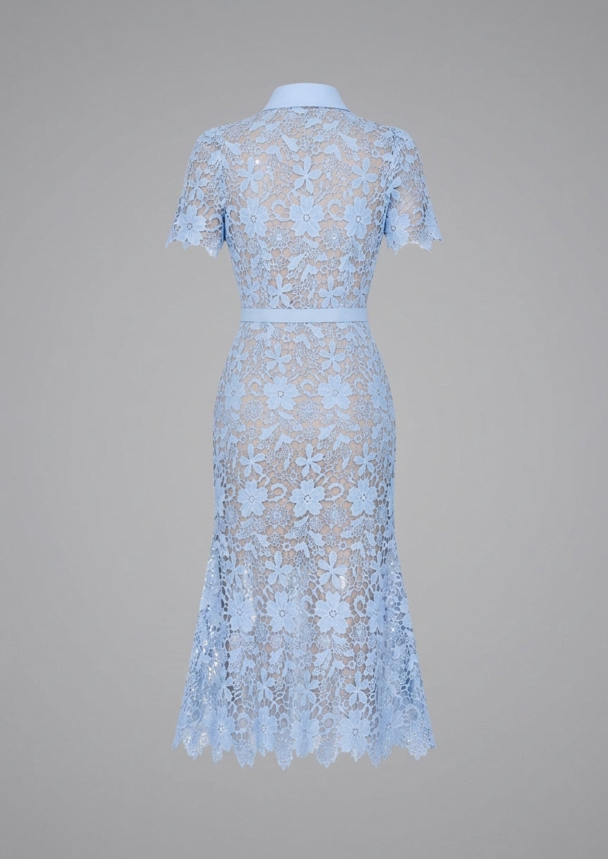 A light blue lace midi dress with short sleeves and a matching waist belt, shown from the back on a mannequin against a solid gray background.