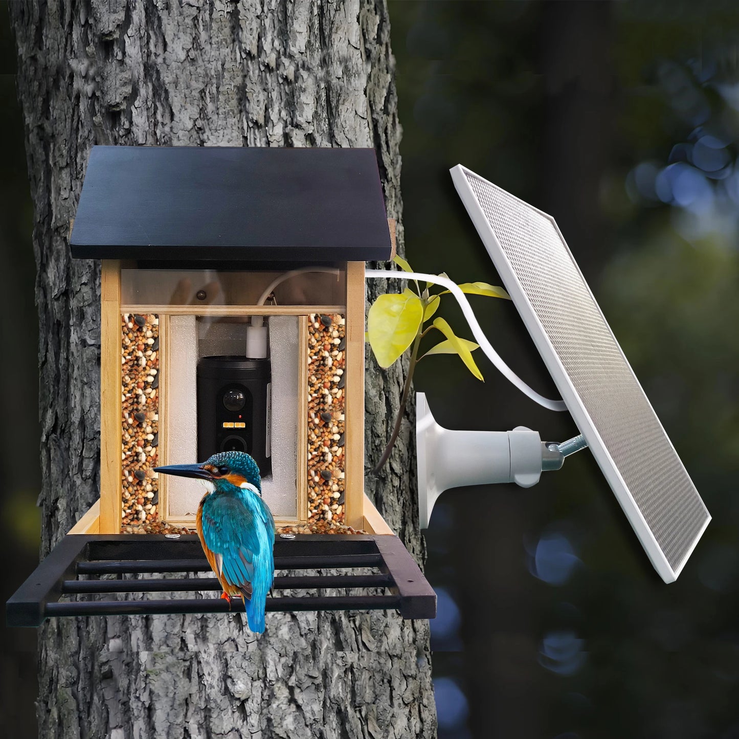 Nature Watcher | Smart Bird Feeder with 1080P Camera & Night Vision | Remote Viewing for Bird Enthusiasts