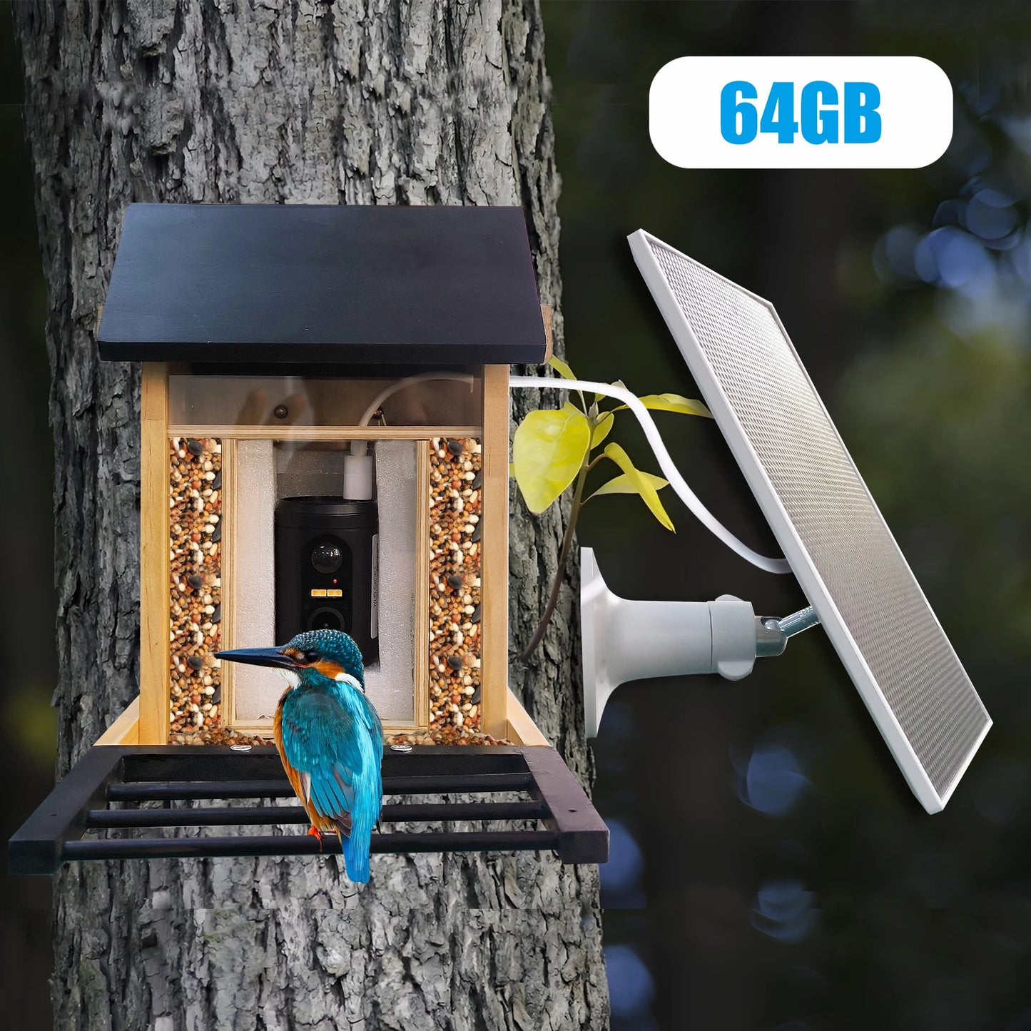Nature Watcher | Smart Bird Feeder with 1080P Camera & Night Vision | Remote Viewing for Bird Enthusiasts