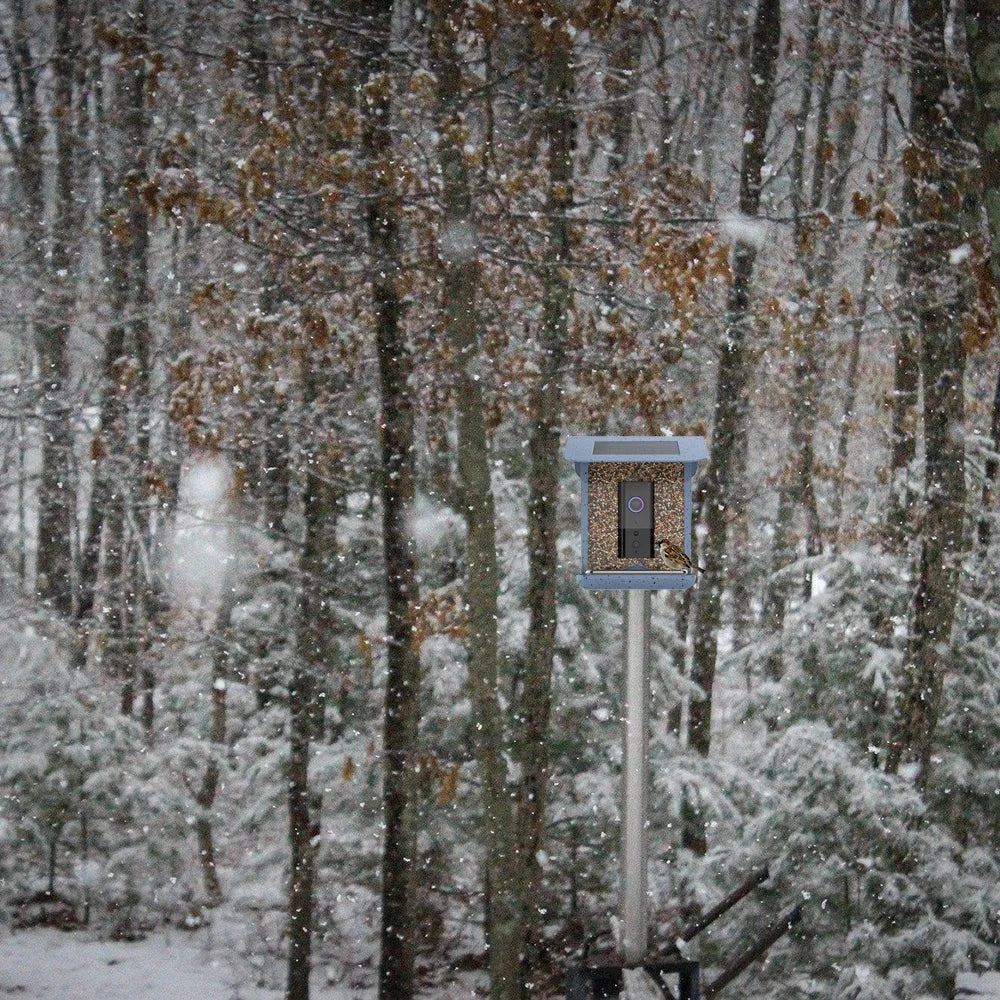 Smart Bird Feeder | Automatic Photography Camera with Rechargeable Battery | Perfect for Outdoor Bird Watching