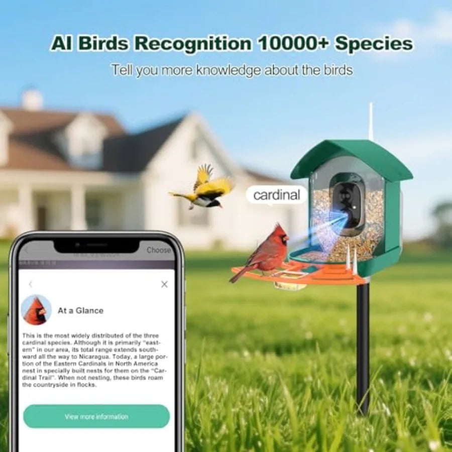 Smart Bird Feeder | WiFi-Enabled Birdhouse with Camera & Solar Power | AI Bird Identification for Enhanced Birdwatching