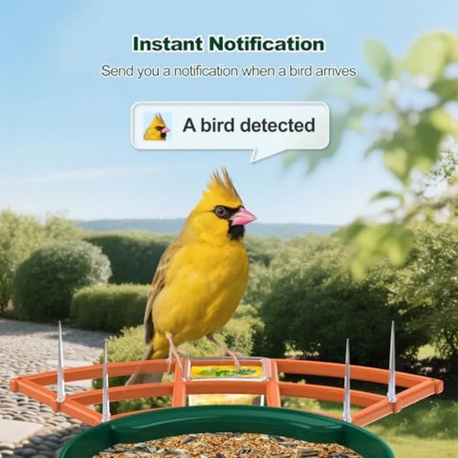 Smart Bird Feeder | WiFi-Enabled Birdhouse with Camera & Solar Power | AI Bird Identification for Enhanced Birdwatching