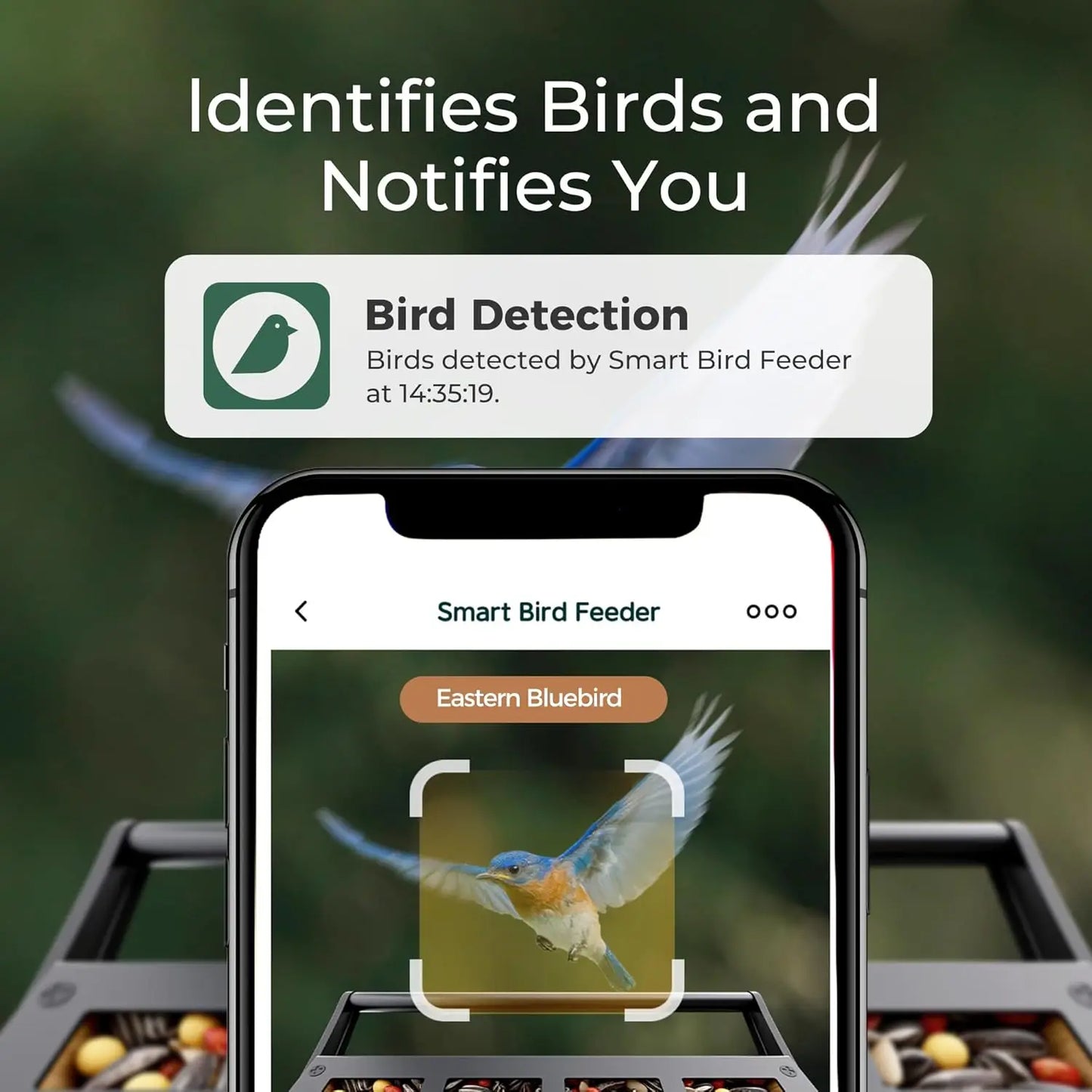 Smart Bird Feeder with 2K Camera & Solar Power | Squirrel Proof Design for Birdwatching Enthusiasts