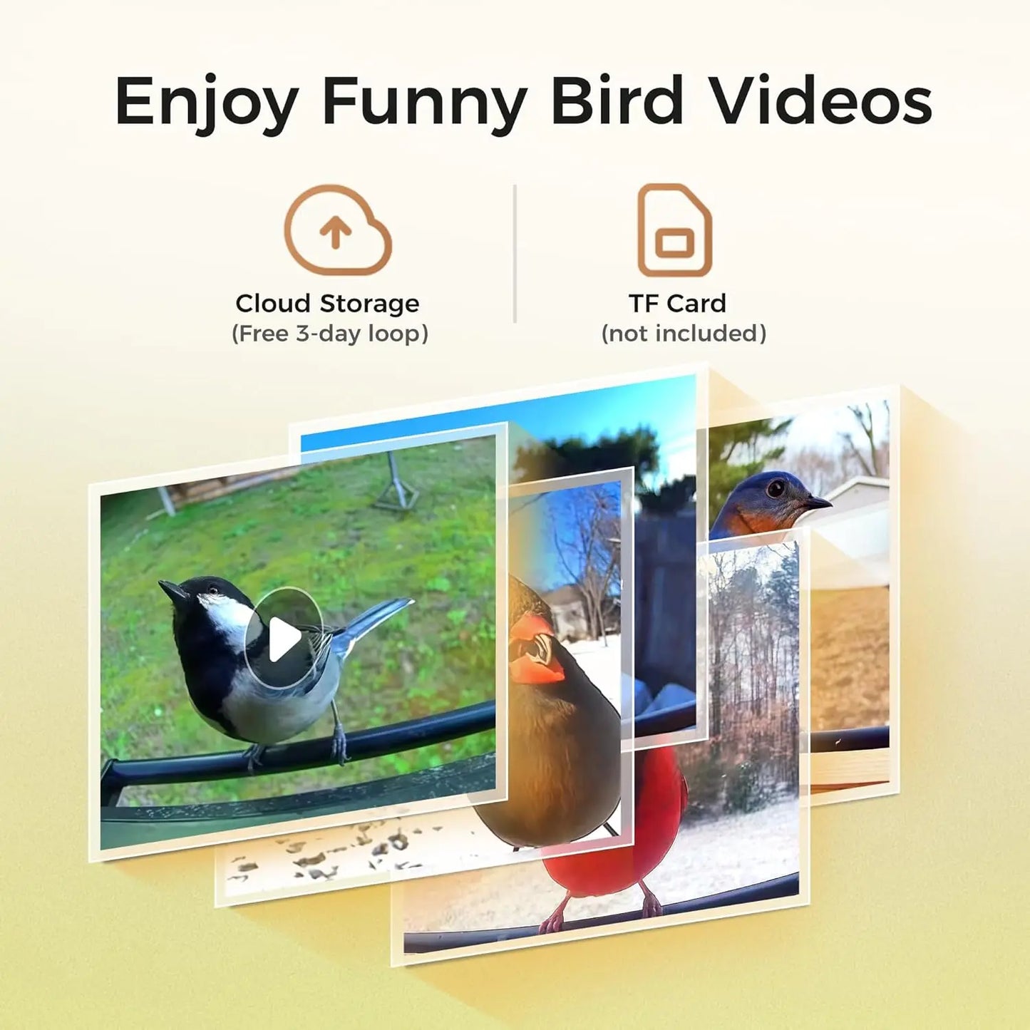Smart Bird Feeder with 2K Camera & Solar Power | Squirrel Proof Design for Birdwatching Enthusiasts