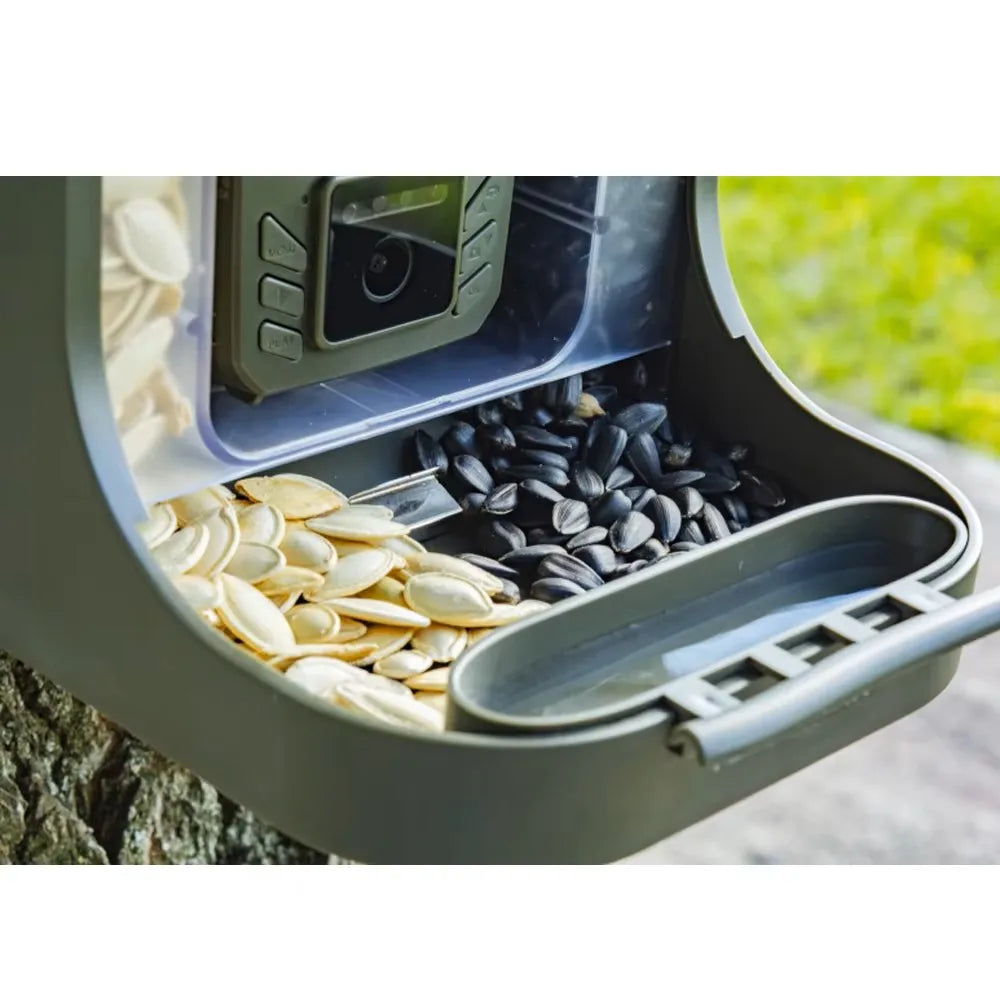 Wildlife Camera | Bird Camera with WiFi Transfer & Night Vision | Capture Nature in Stunning Detail