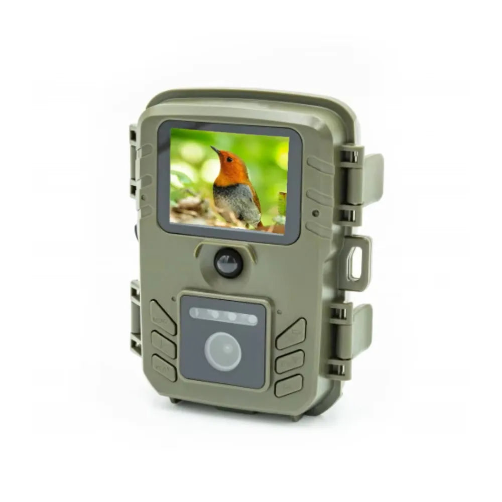 Wildlife Camera | Bird Camera with WiFi Transfer & Night Vision | Capture Nature in Stunning Detail
